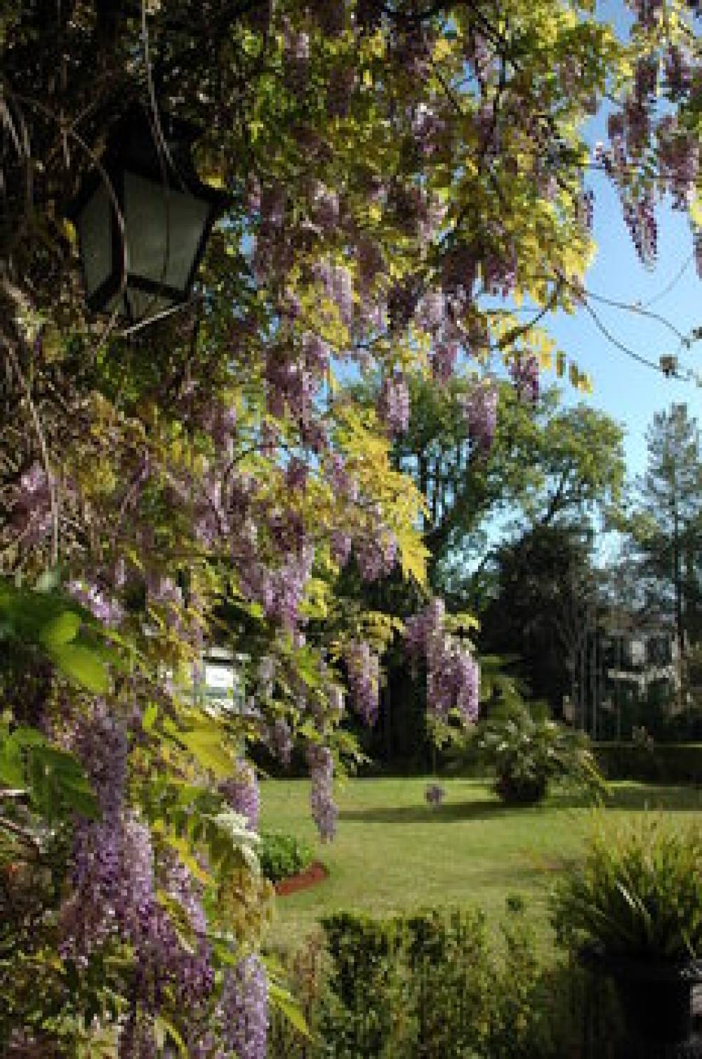 QUINTA DA BELA VISTA 9