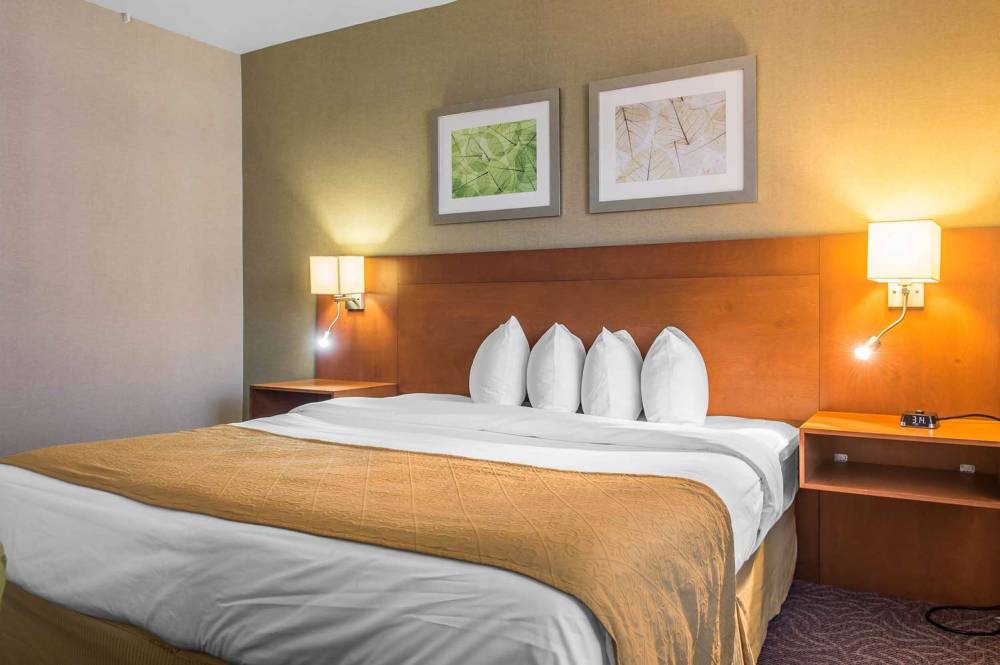 RAMADA PLAZA MONTREAL 9