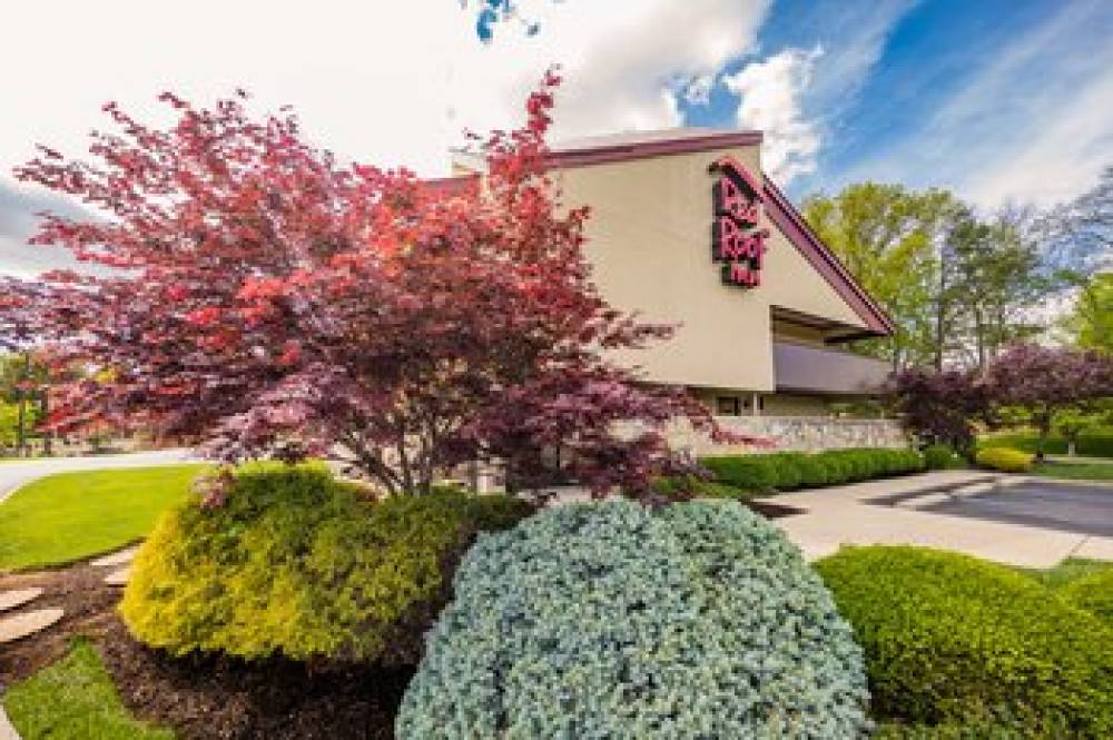 Red Roof Inn Cincinnati Northeast -  Blue Ash  1