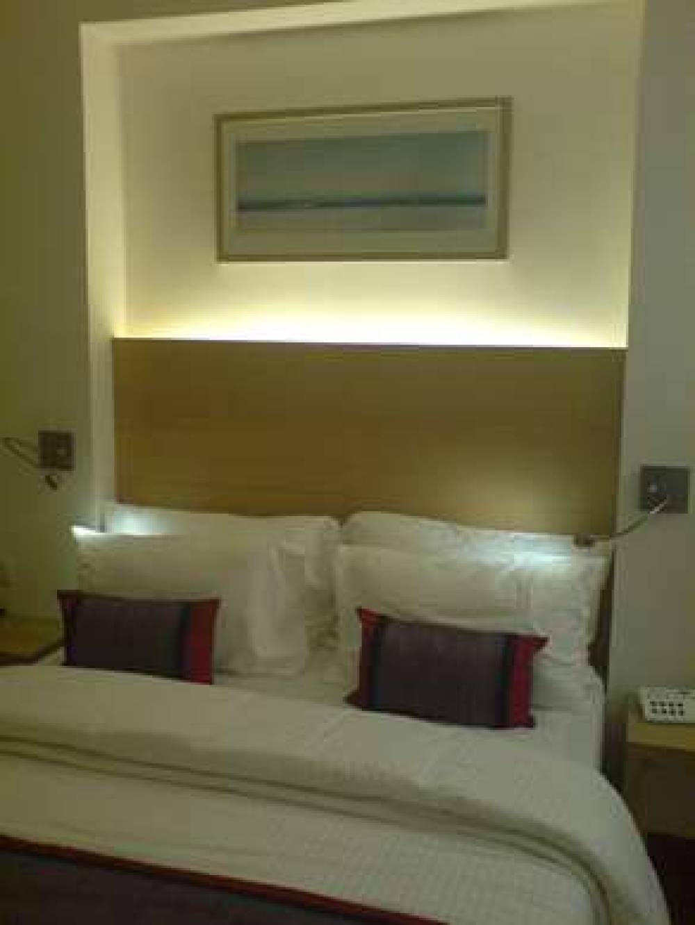 RESIDENCY SAROVAR PORTICO 1