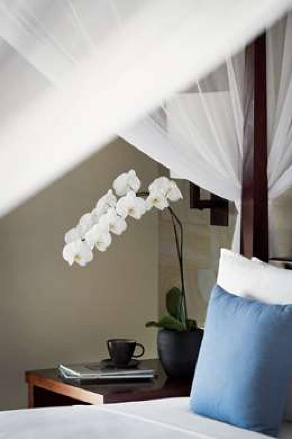 REVIVO WELLNESS RESORT 5