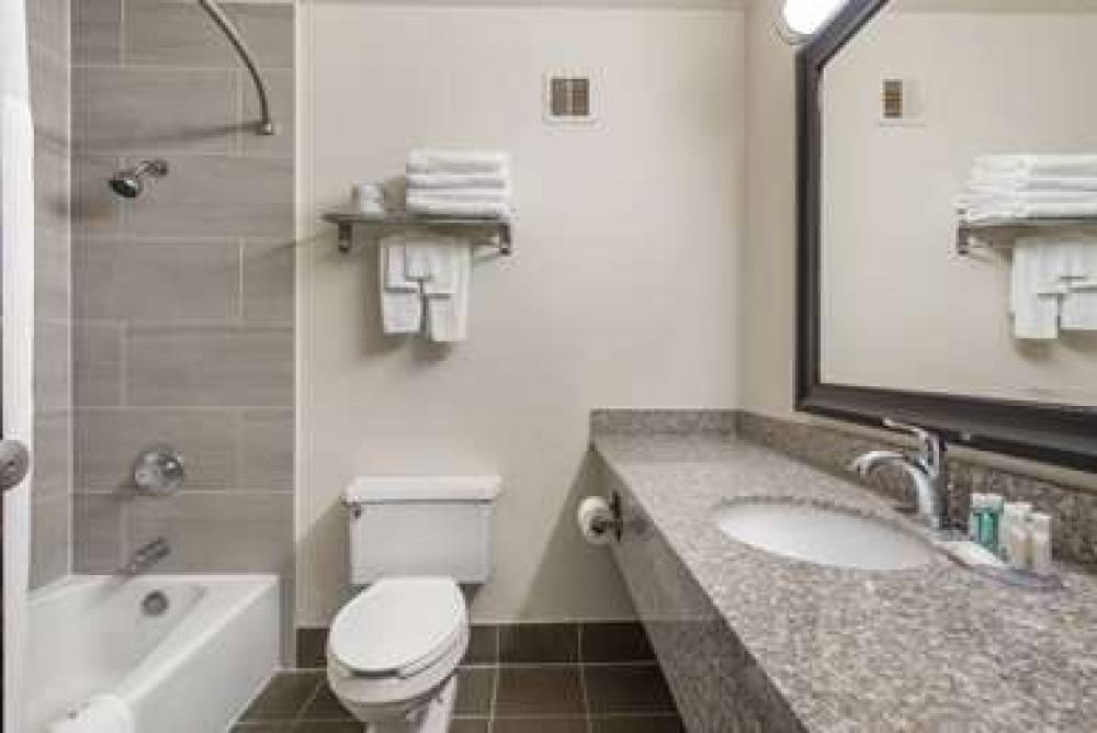 RODEWAY INN ALAMOSA 10