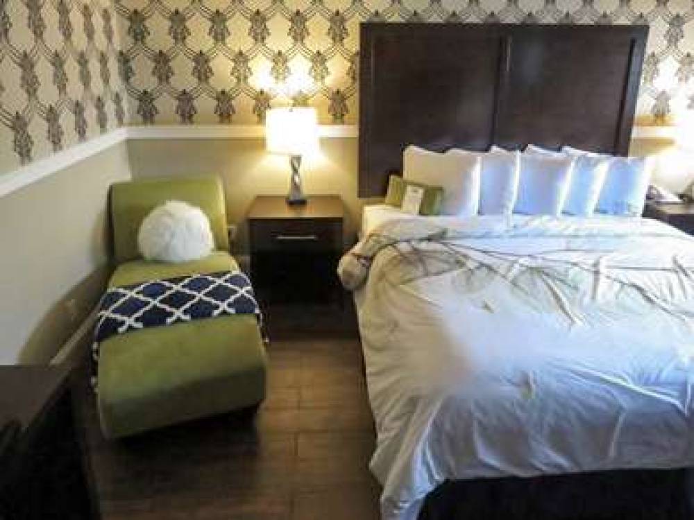 RODEWAY INN LOGAN INTERNATIONAL AIR 9