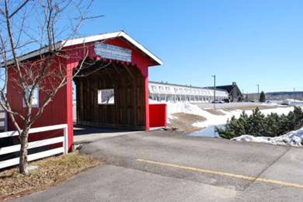 RODEWAY INN 6