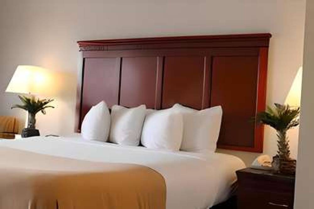 RODEWAY INN SANTA CLARA EL CAMINO R 4