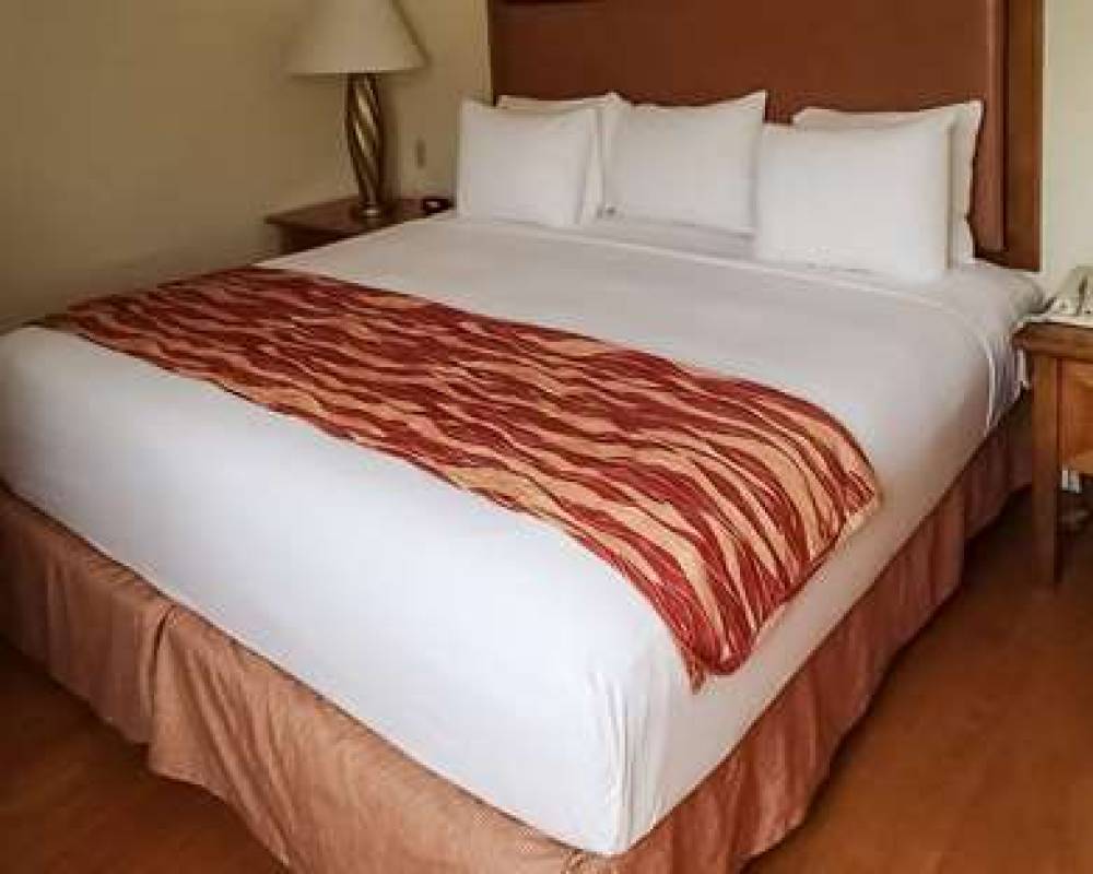 RODEWAY INN SOUTH MIAMI   CORAL GAB 10