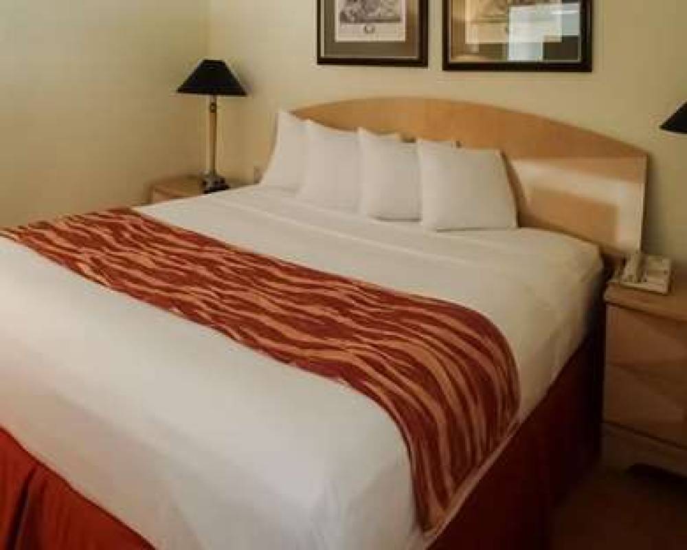 RODEWAY INN SOUTH MIAMI   CORAL GAB 6