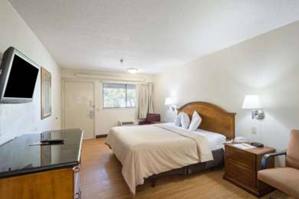 RODEWAY INN TAMPA NEAR BUSCH GARDEN 9