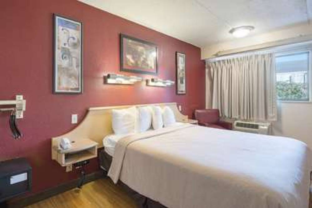 RODEWAY INN TAMPA NEAR BUSCH GARDEN 7