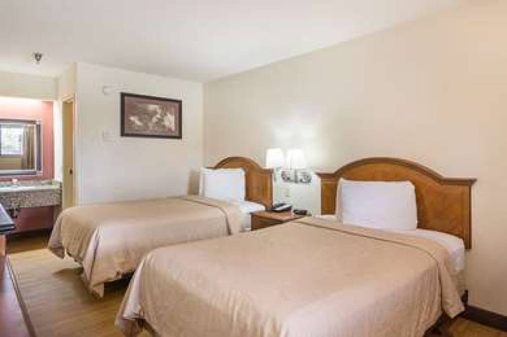 RODEWAY INN TAMPA NEAR BUSCH GARDEN 10