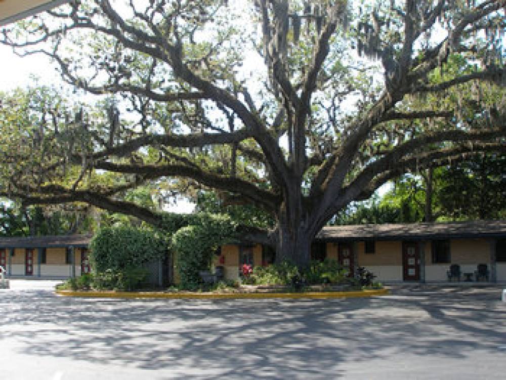 SCOTTISH INNS SAN MARCO AVE 4