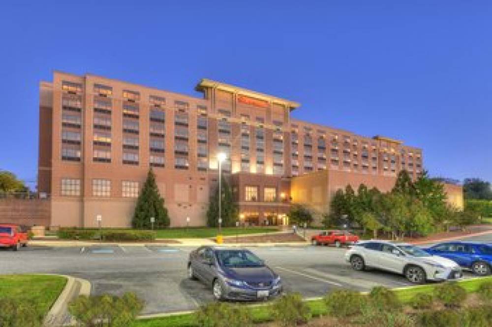 Sheraton Baltimore Washington Airport Hotel-BWI 7