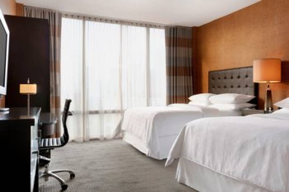 Sheraton Charlotte Hotel 3