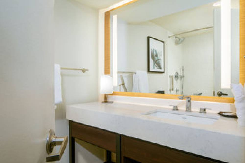 Sheraton Detroit Metro Airport 9