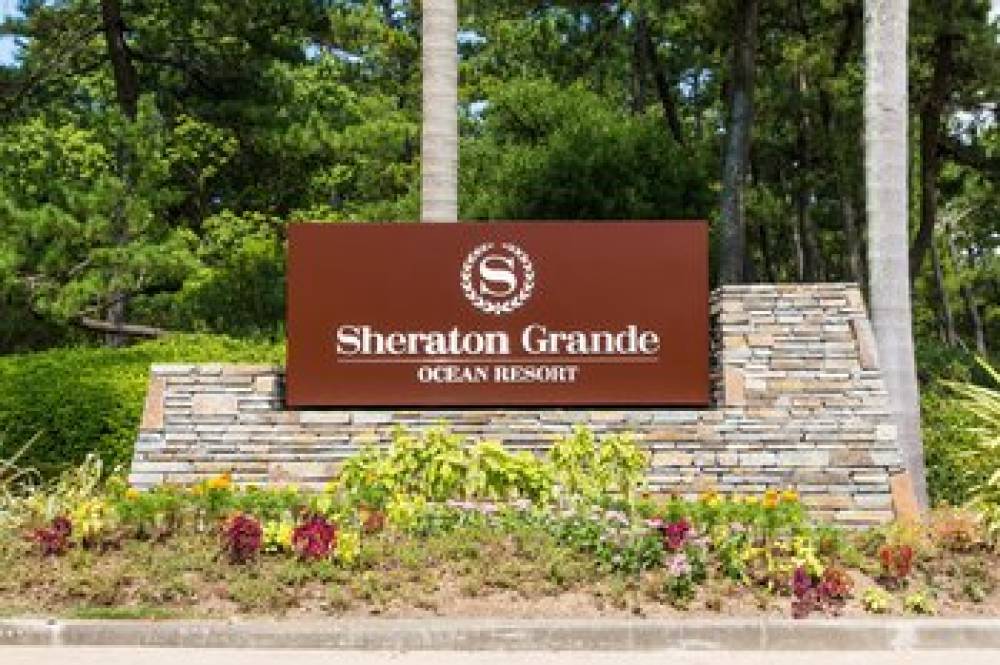 Sheraton Grande Ocean Resort 3