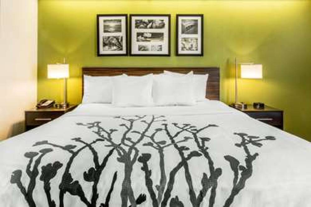 SLEEP INN CHARLESTON - WEST ASHLEY 6
