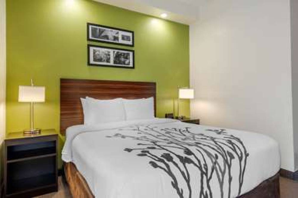 Sleep Inn Wesley Chapel - Tampa North 8