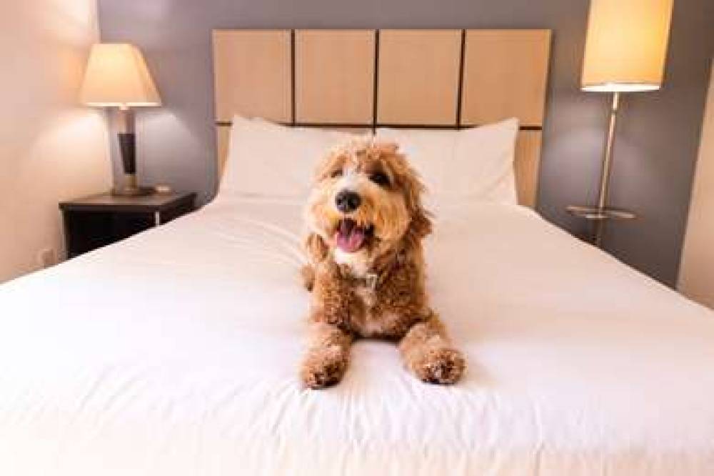 SONESTA SIMPLY PARSIPPANY MPLA 10