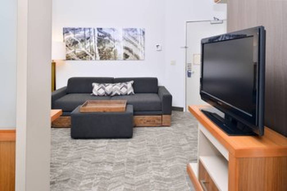 SpringHill Suites By Marriott Ashburn Dulles North 7
