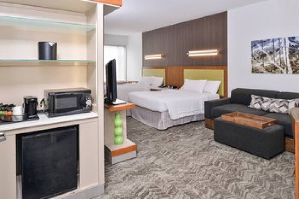 SpringHill Suites By Marriott Ashburn Dulles North 5