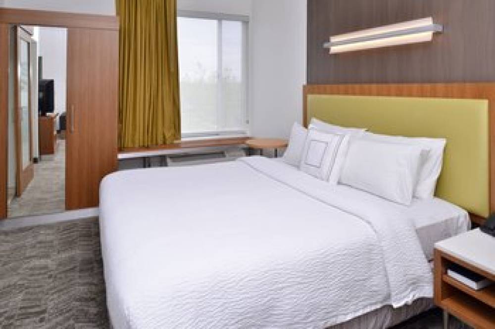 SpringHill Suites By Marriott Ashburn Dulles North 9
