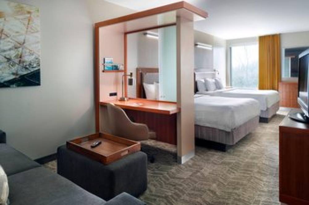 SpringHill Suites By Marriott Atlanta Airport Gateway 9