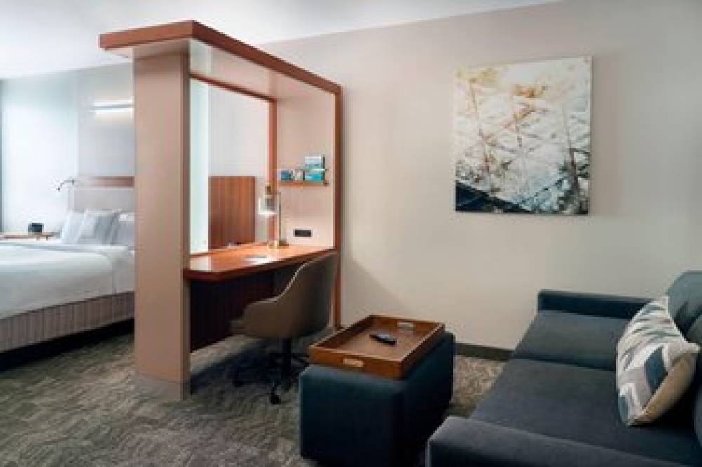 SpringHill Suites By Marriott Atlanta Airport Gateway 10