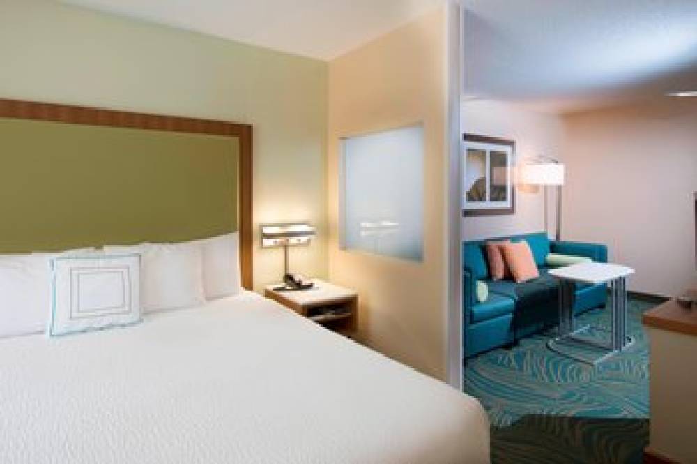 SpringHill Suites By Marriott Atlanta Alpharetta 6