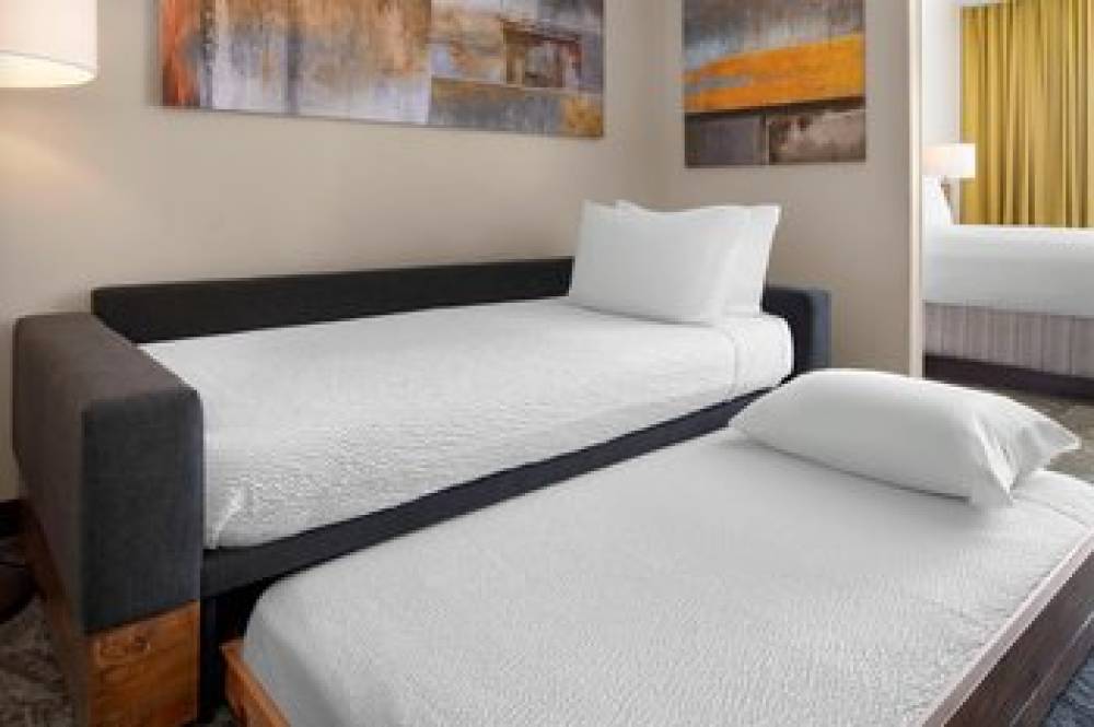 SpringHill Suites By Marriott Austin Round Rock 9