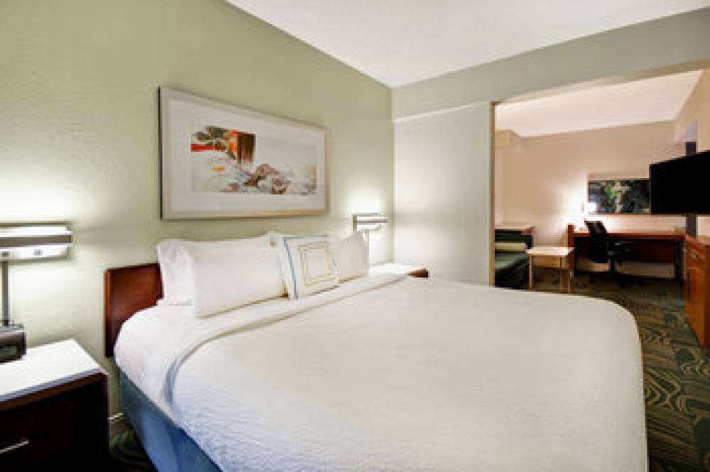 SpringHill Suites By Marriott Baltimore BWI Airport 9