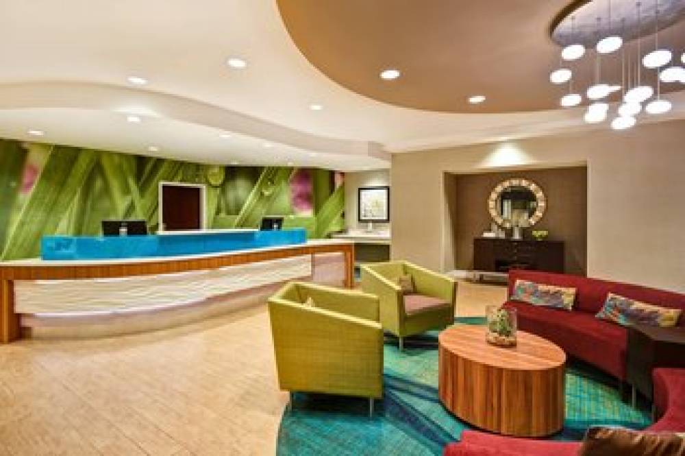 SpringHill Suites By Marriott Baltimore BWI Airport 5