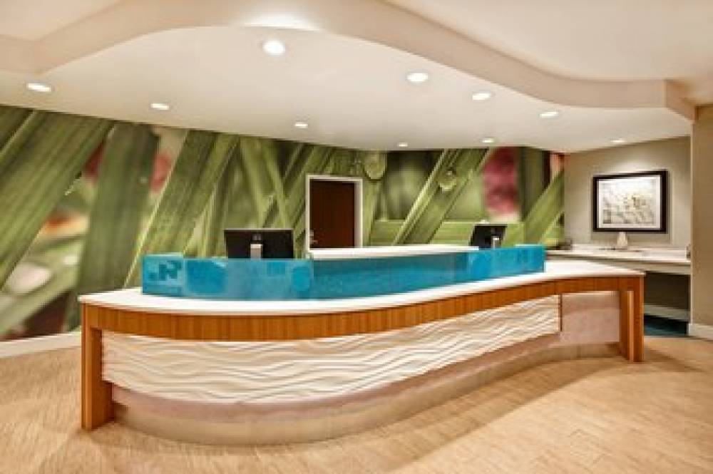 SpringHill Suites By Marriott Baltimore BWI Airport 4
