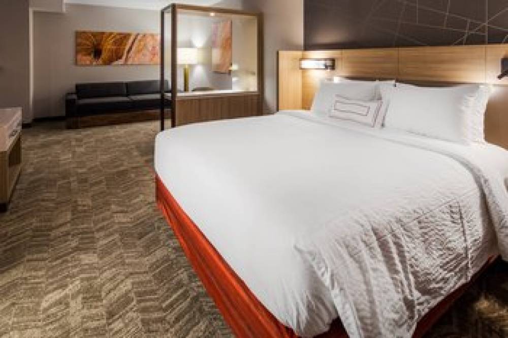 SpringHill Suites By Marriott Chambersburg 8