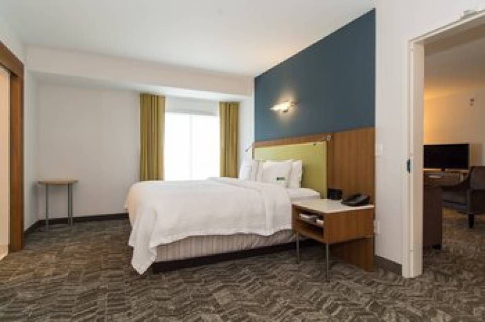 SpringHill Suites By Marriott Charlotte Ballantyne 10
