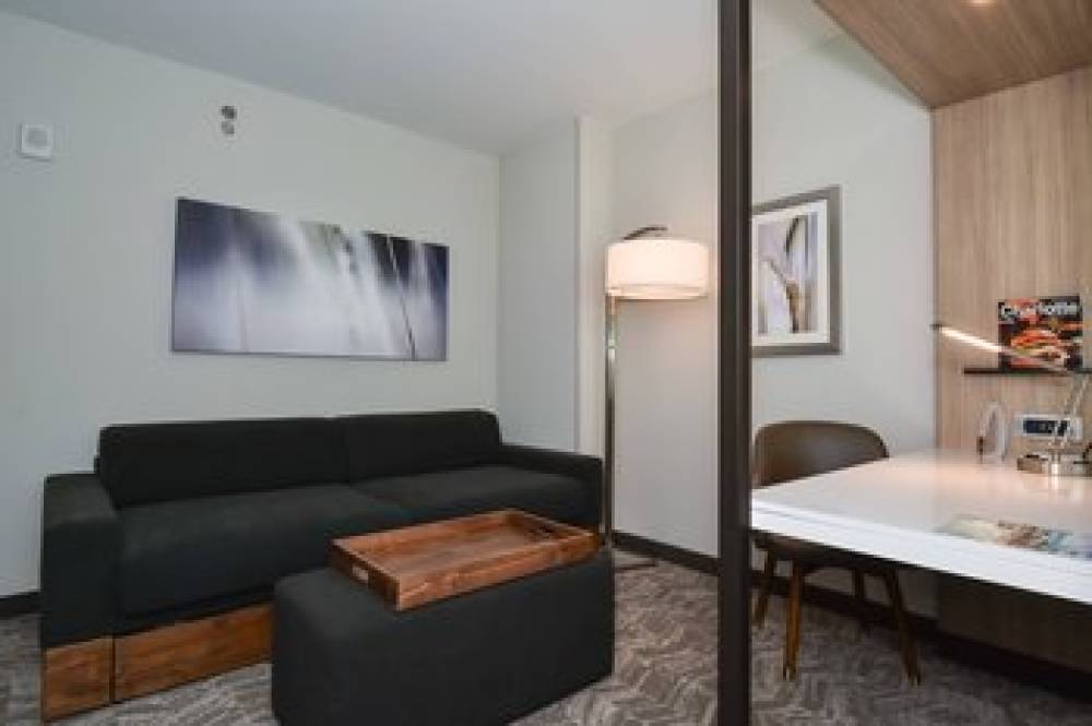 SpringHill Suites By Marriott Charlotte Downtown 6