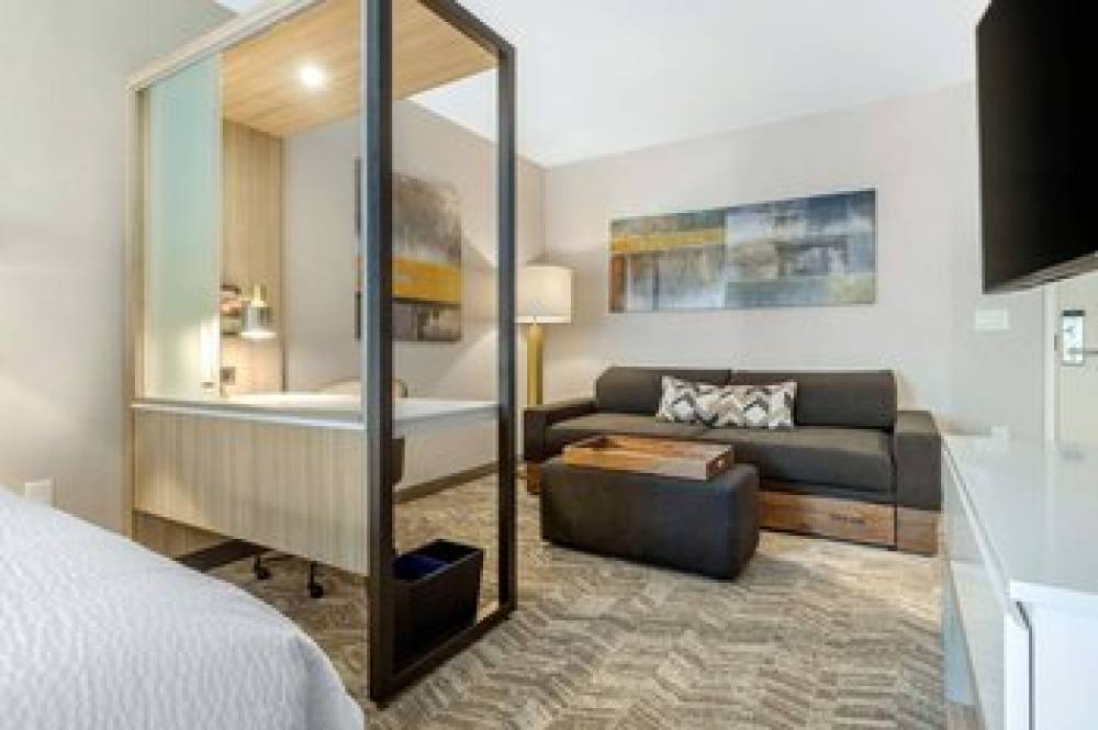 SpringHill Suites By Marriott Charlotte Southwest 10