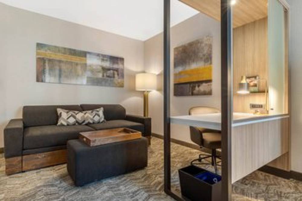 SpringHill Suites By Marriott Charlotte Southwest 9