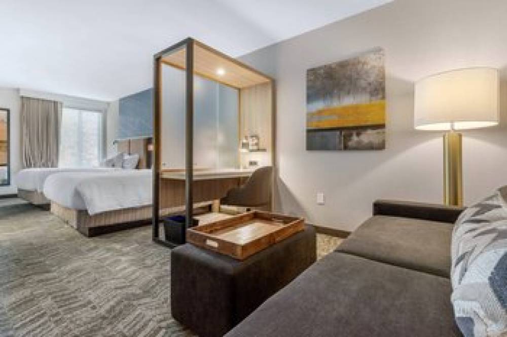 SpringHill Suites By Marriott Charlotte Southwest 7