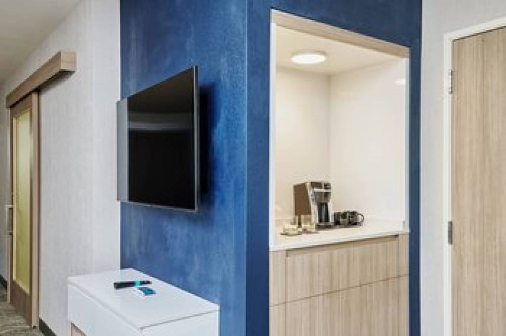 SpringHill Suites By Marriott Chicago Chinatown 4