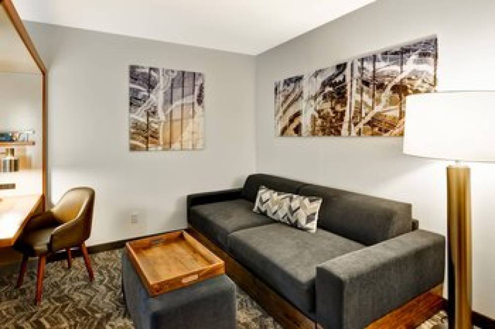 SpringHill Suites By Marriott Columbia 8