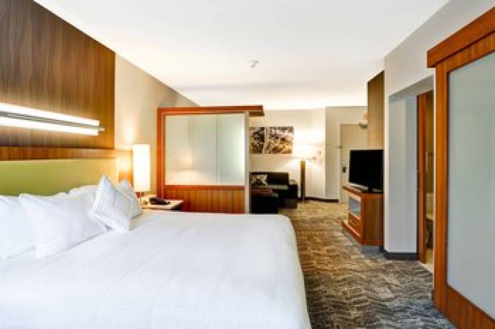 SpringHill Suites By Marriott Columbia 10