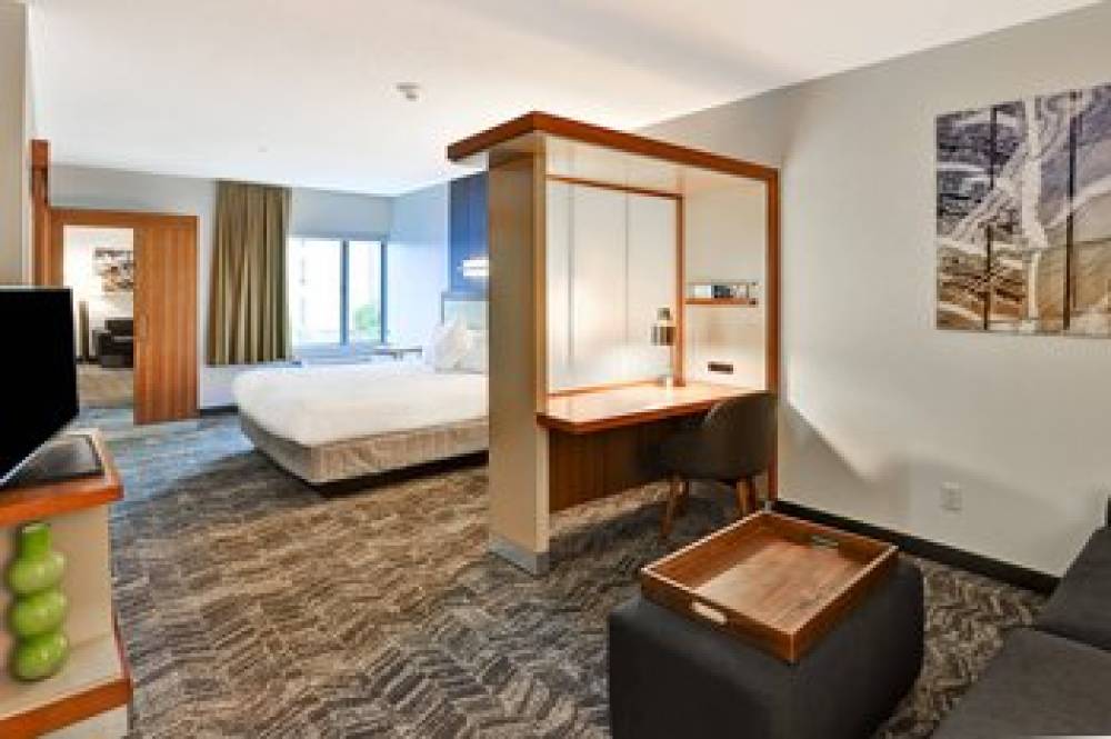 SpringHill Suites By Marriott Columbia 9