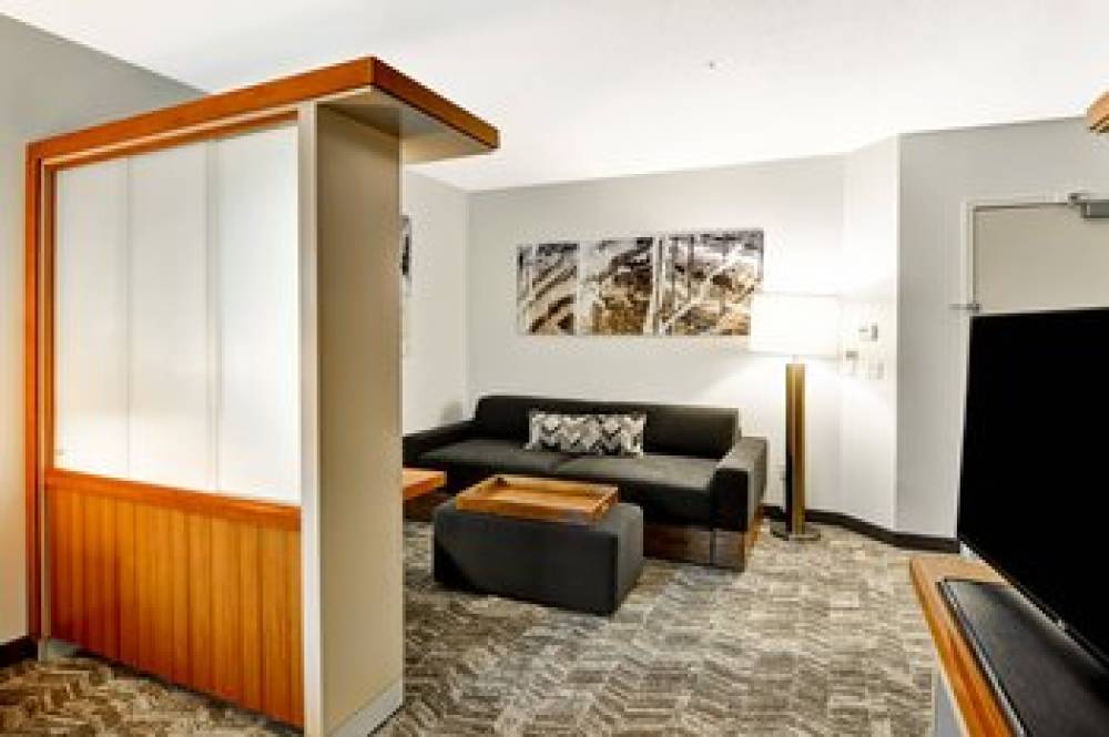 SpringHill Suites By Marriott Columbia 7