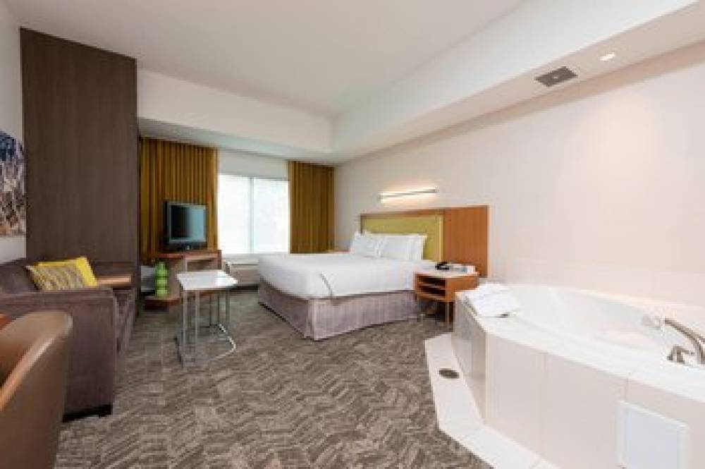 SpringHill Suites By Marriott Detroit Auburn Hills 10