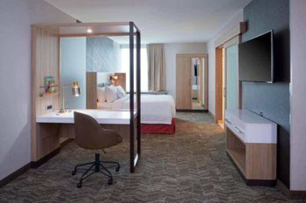 SpringHill Suites By Marriott East Lansing University Area 9