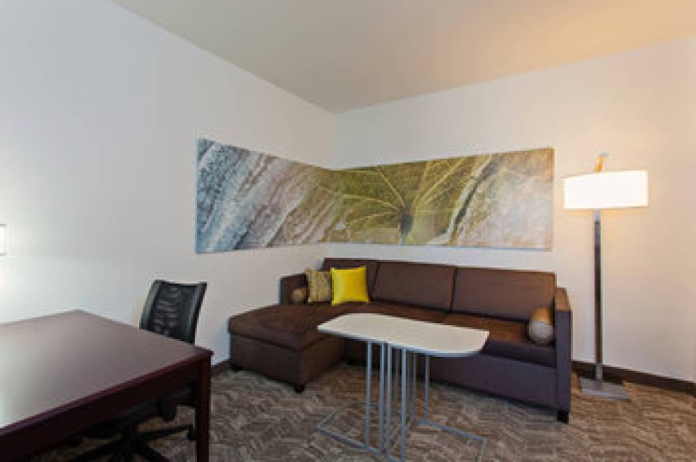 SpringHill Suites By Marriott El Paso 7