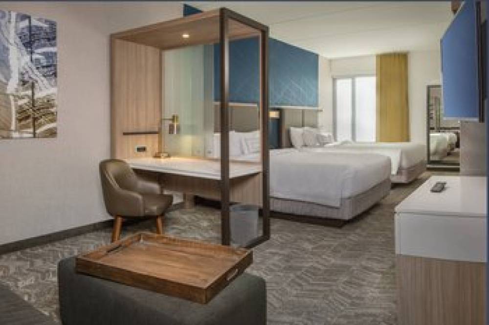SpringHill Suites By Marriott Gainesville Haymarket 6