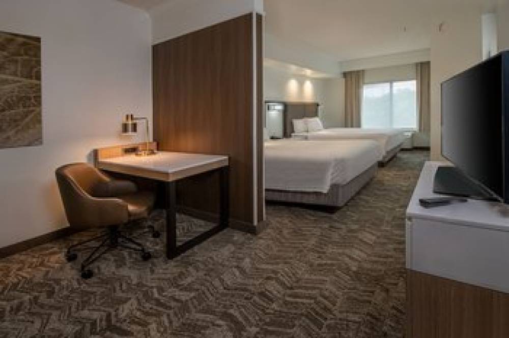 SpringHill Suites By Marriott Hagerstown 9