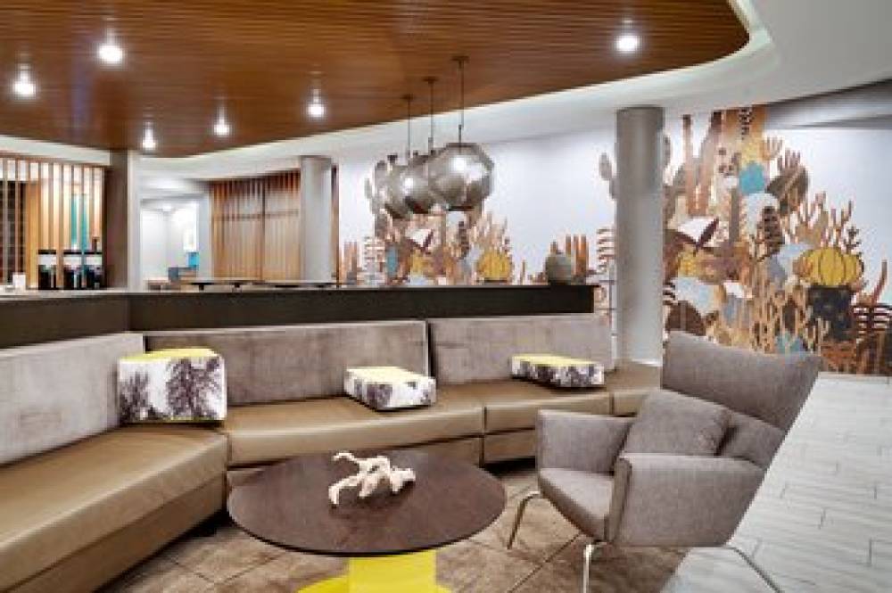 SpringHill Suites By Marriott Phoenix Scottsdale 10
