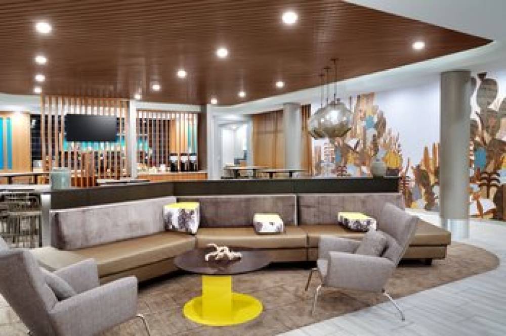 SpringHill Suites By Marriott Phoenix Scottsdale 9